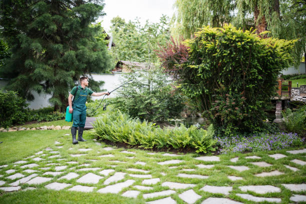 Flea Control Services in Meadowbrook, VA